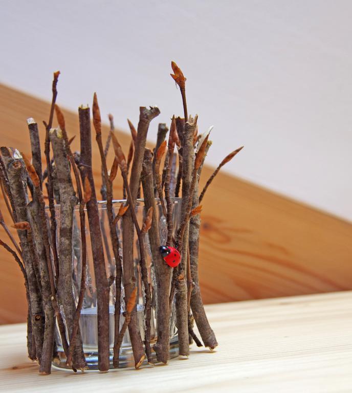 Le Castagne Matte Bed & Breakfast Stenico Luaran gambar